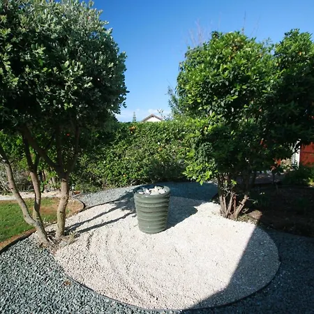 Sofia فيلة نيو تشوريو