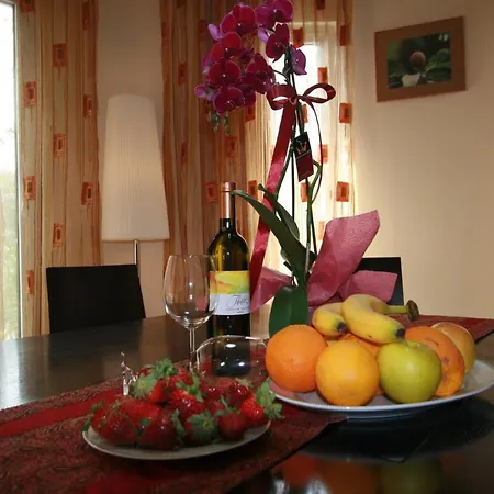 Sofia فيلة نيو تشوريو